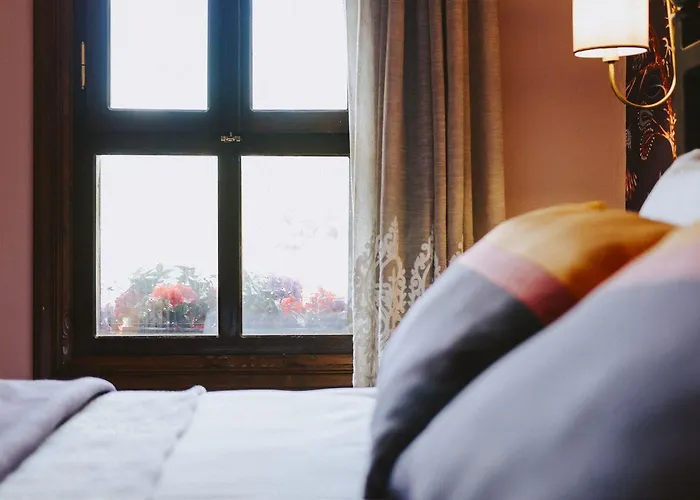 호텔 Misgibi 부루사